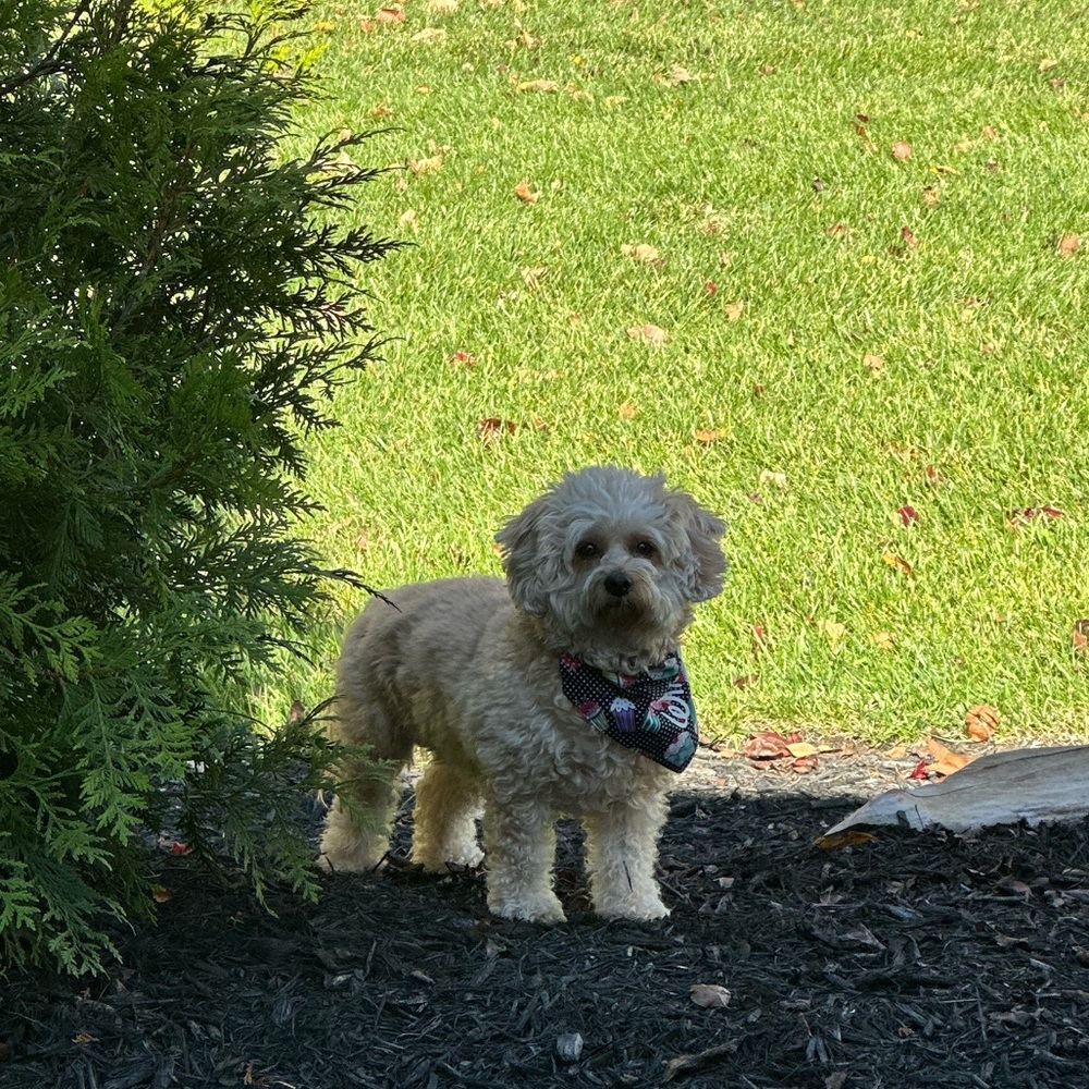 Meet your Posher, Natalie